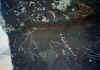 Old Graffiti.jpg (283060 byte)
